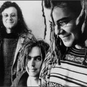 The Notwist - List pictures