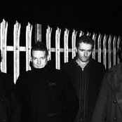 The Domestics - List pictures