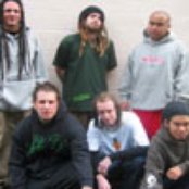 Insolence - List pictures