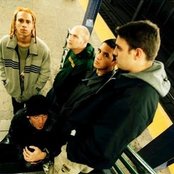 40 Below Summer - List pictures