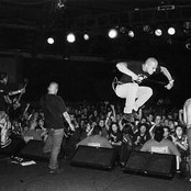 Pistol Grip - List pictures