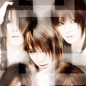 Vidoll - List pictures