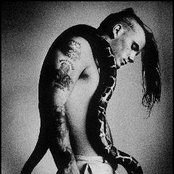 Pantera - List pictures