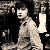 The Telescopes - List pictures