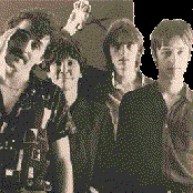 Soft Boys - List pictures