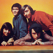 Monkeys - List pictures