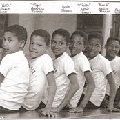 Tavares - List pictures