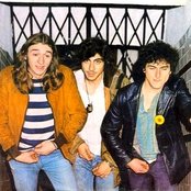 Leño - List pictures