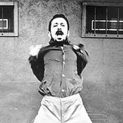 Tom Zé - List pictures