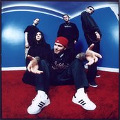 Limp Bizkit - List pictures