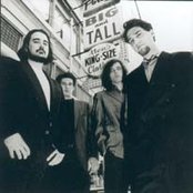 The Afghan Whigs - List pictures