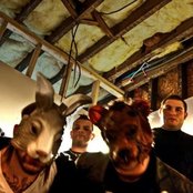 The Bunny The Bear - List pictures