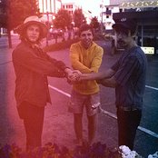 Sun Araw - List pictures