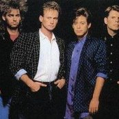Mr. Mister - List pictures