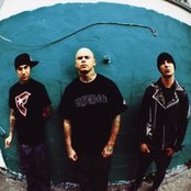 Transplants - List pictures