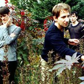 Kreidler - List pictures