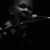 Timber Timbre - List pictures