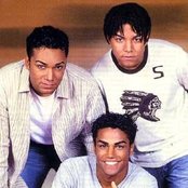 3t - List pictures