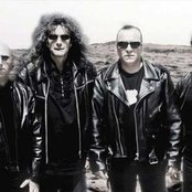 Iris - List pictures