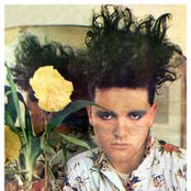 Virgin Prunes - List pictures