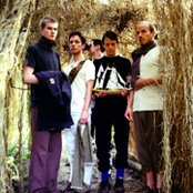 British Sea Power - List pictures