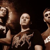 Parasite - List pictures