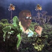 Sun Araw - List pictures