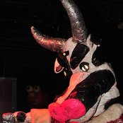 Green Jelly - List pictures