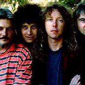 Ant-bee - List pictures