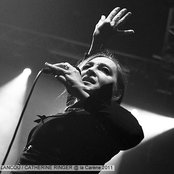 Catherine Ringer - List pictures