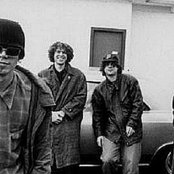 Brad - List pictures