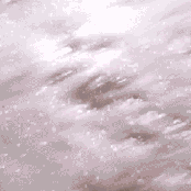 Ducktails - List pictures