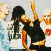 Skunk Anansie - List pictures