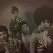 Glasshouse - List pictures