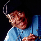 James Cotton - List pictures