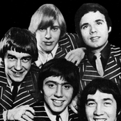 Easybeats - List pictures