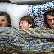 Dinosaur Pile-up - List pictures