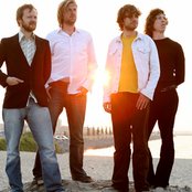 Moss - List pictures