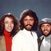 Bee Gees - List pictures