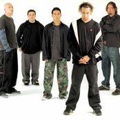 40 Below Summer - List pictures