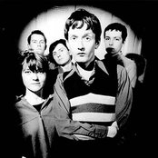 Pulp - List pictures