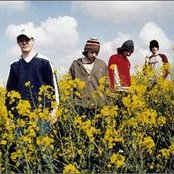 The Music - List pictures