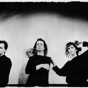 The Cranes - List pictures