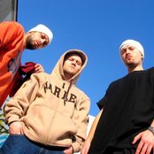 Parazitii - List pictures