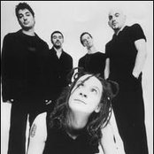 Cyclefly - List pictures