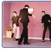 Pulp - List pictures