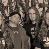 Jungle Rot - List pictures