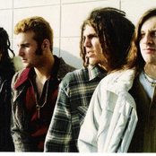 Evergreen - List pictures