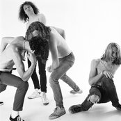 Mudhoney - List pictures