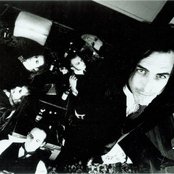 Prick - List pictures